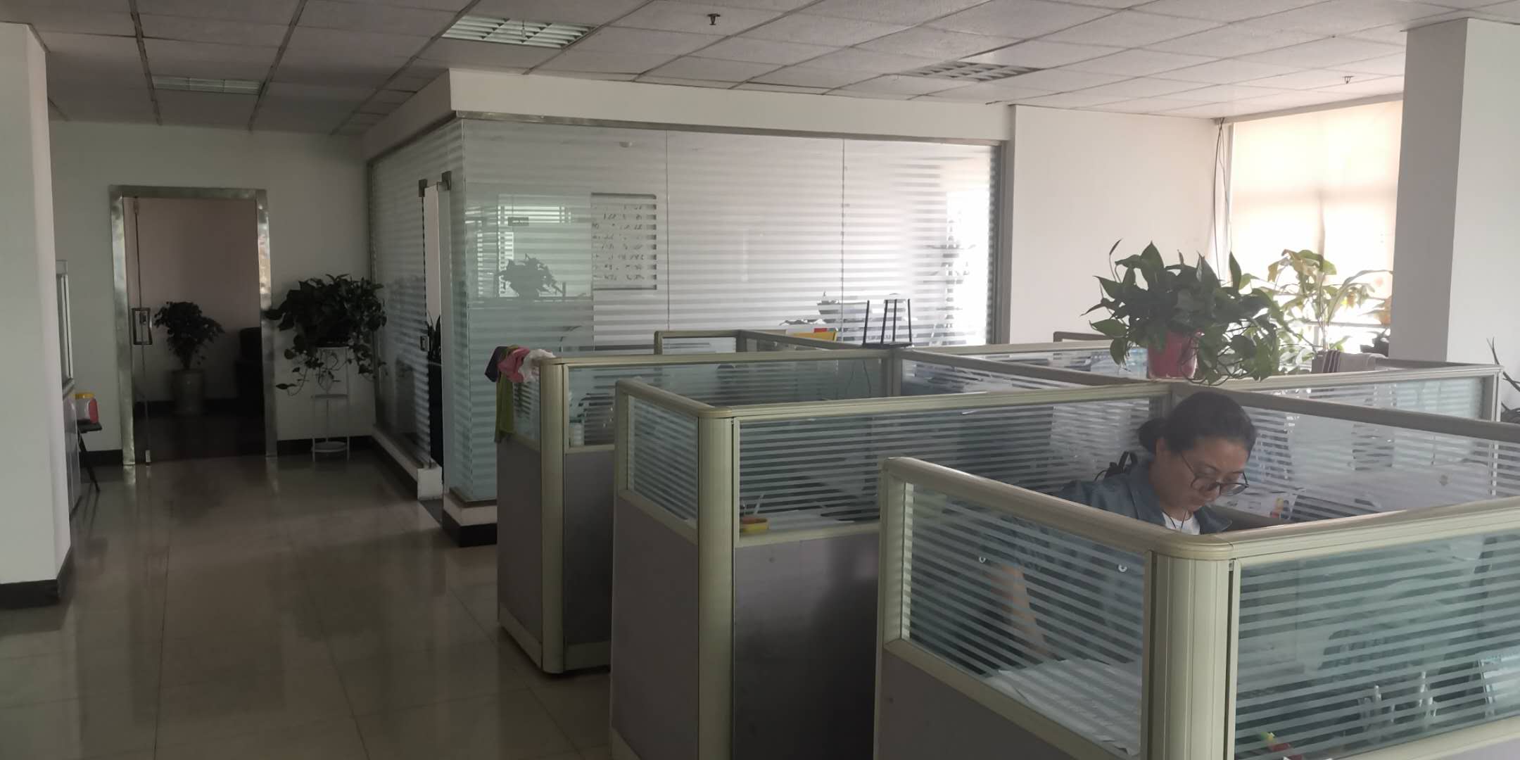 Lianyungang Jiafu International Trading Co., Ltd. – Product photos 3