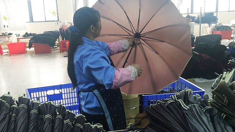 Fujian Junke Import and Export Trading Co., Ltd. – Photos produits 3