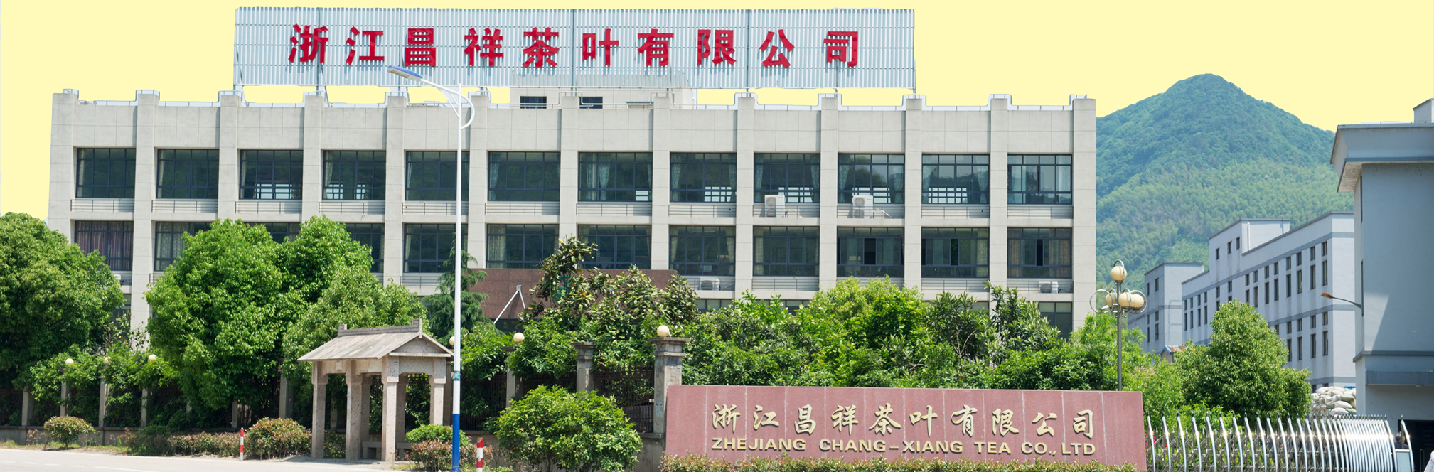 Zhejiang Changxiang Tea Co., Ltd. – 绿茶 1