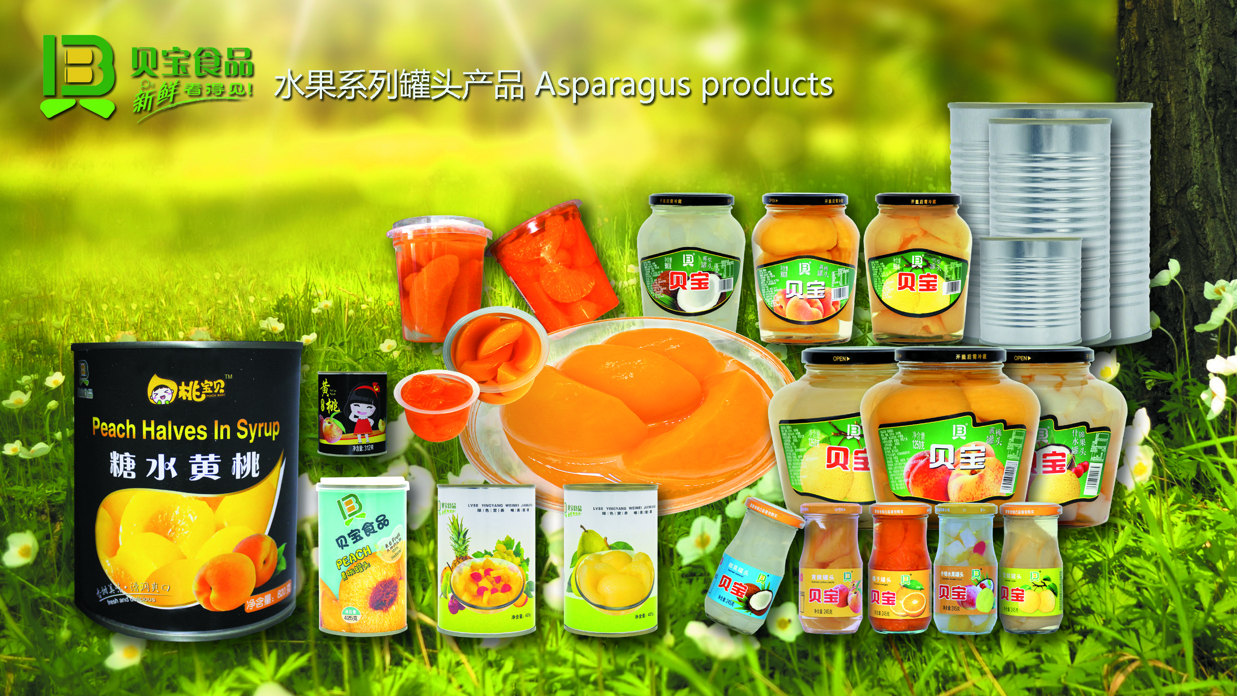Anhui Baibao Food Co., Ltd. – canned vegetables 2