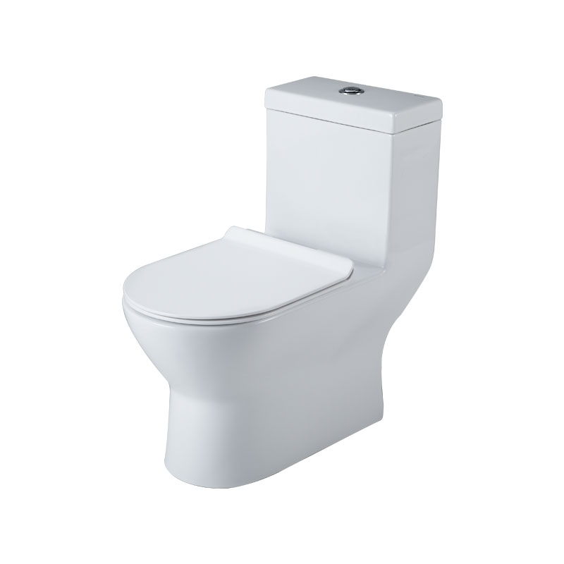 Bravat Floor Mounted Ceramic One piece Toilet ceramic toilet