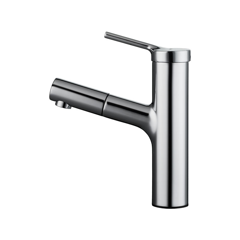Bravat Single Handle Pull out Basin Mixer pull out faucet