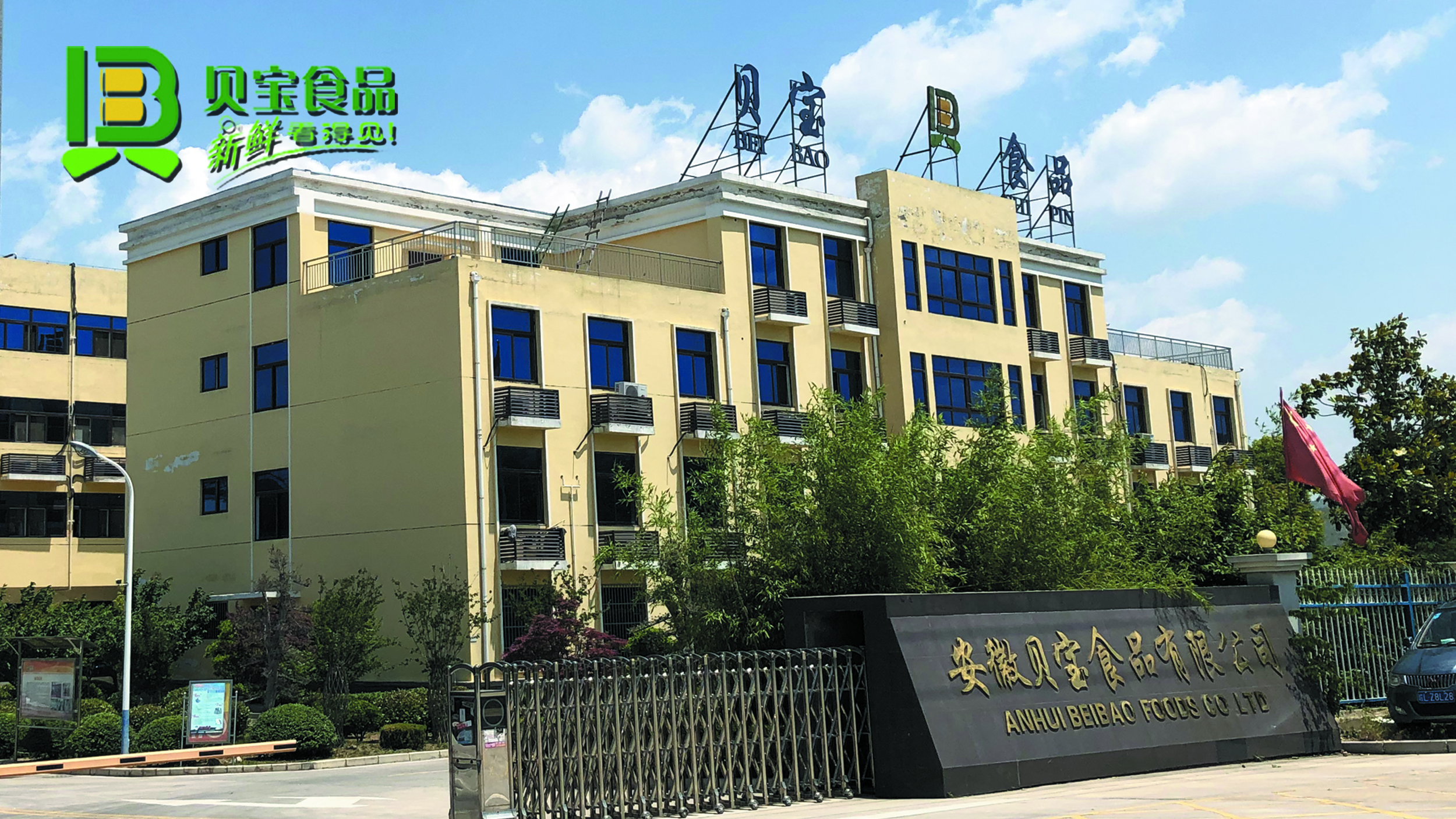 Anhui Baibao Food Co., Ltd. – Canned fruits 1