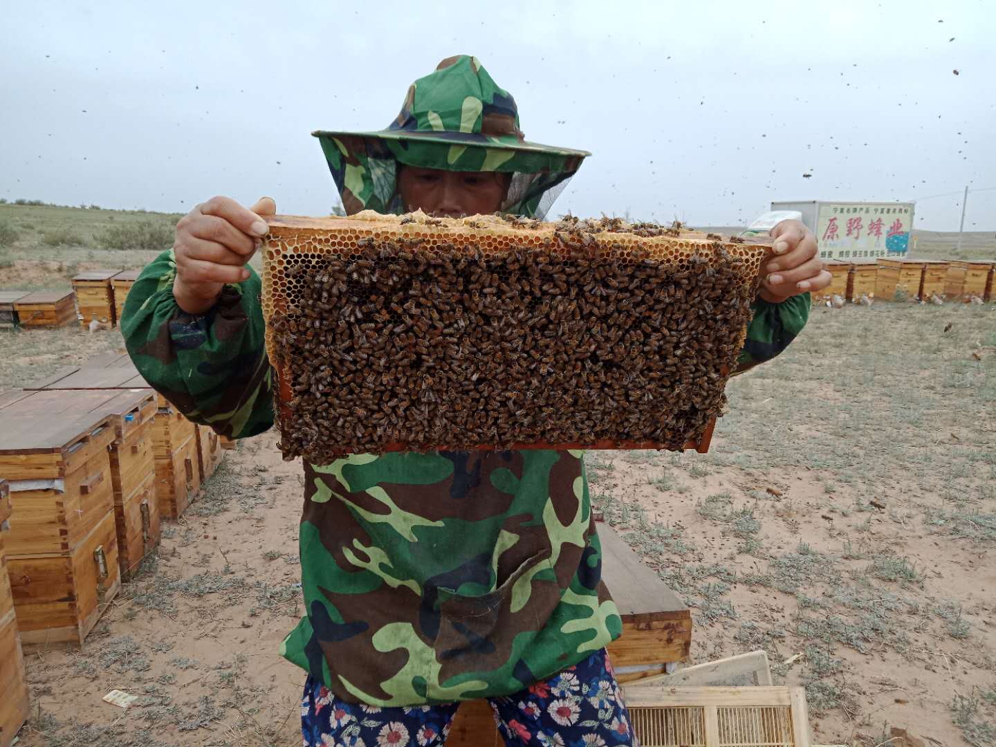 Ningxia Yuanye Bee Industry Co., Ltd. – bee products 3