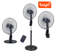 3 in 1 Fan
