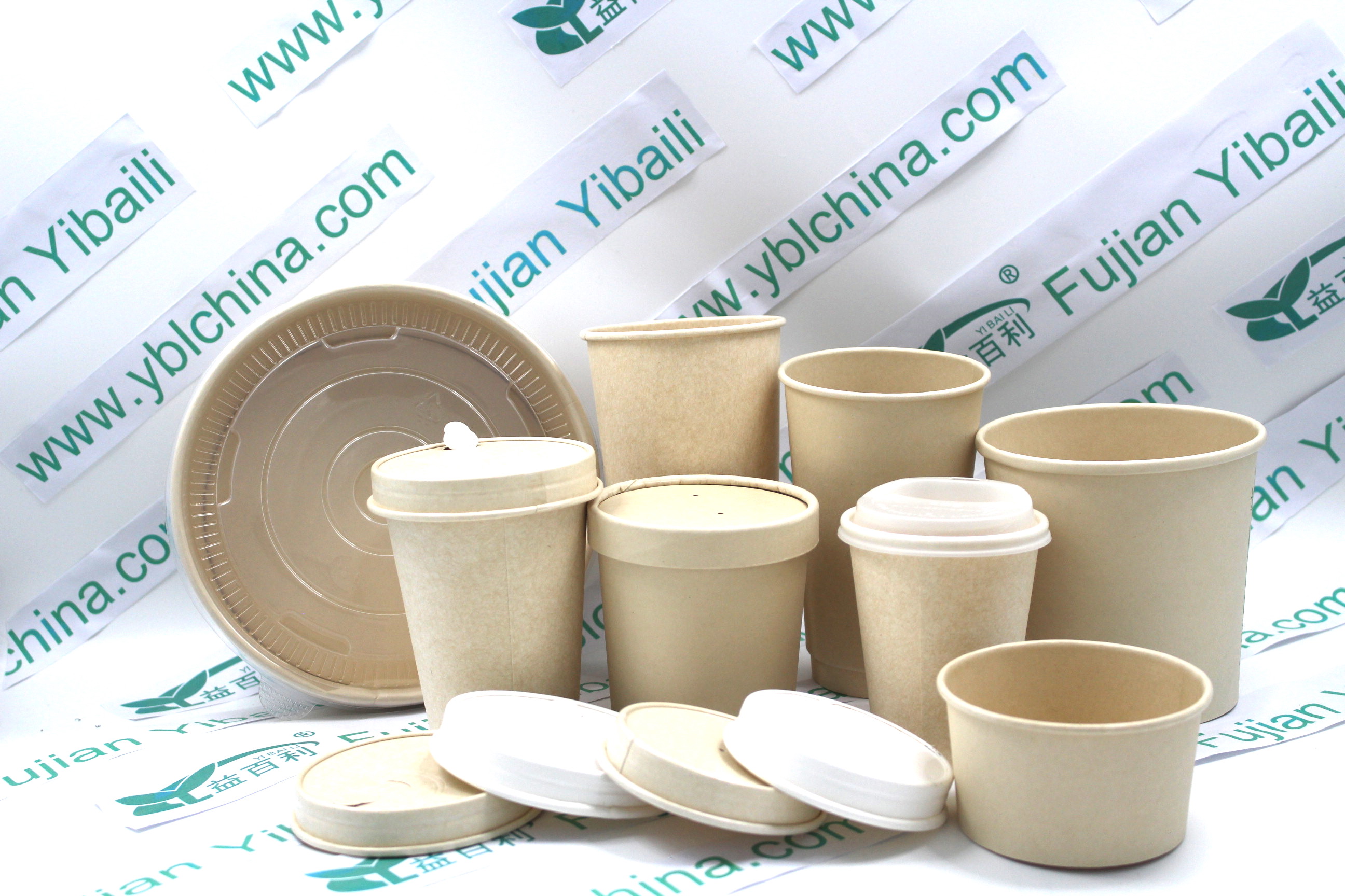 Disposable Bamboo Paper Container