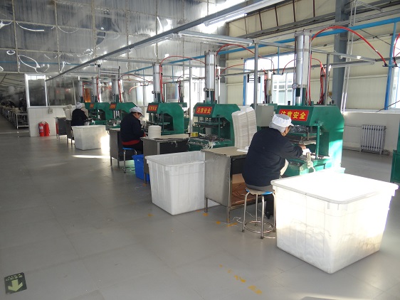 Dongying Wokan Ecological Agriculture Co., Ltd. – Product photos 3