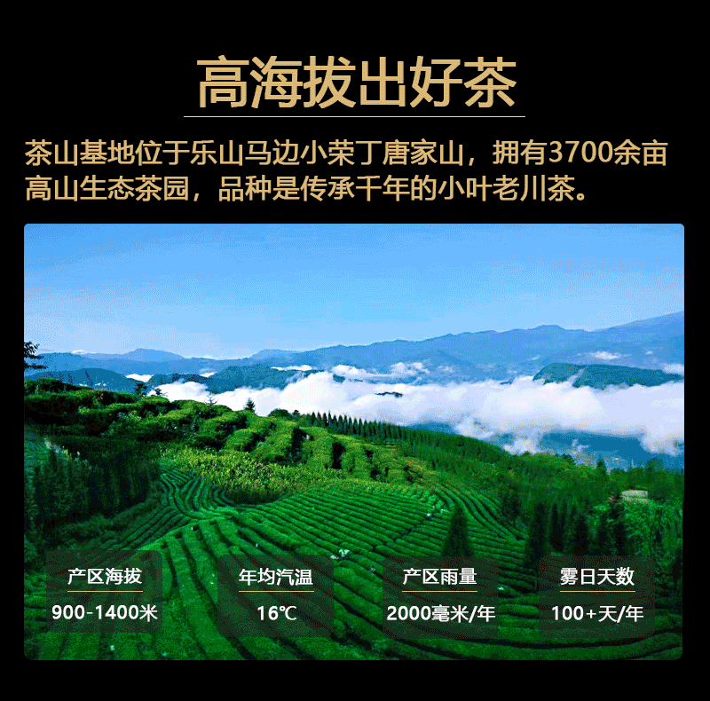 Mabian Alpine Tea Co., Ltd. – scented tea 2