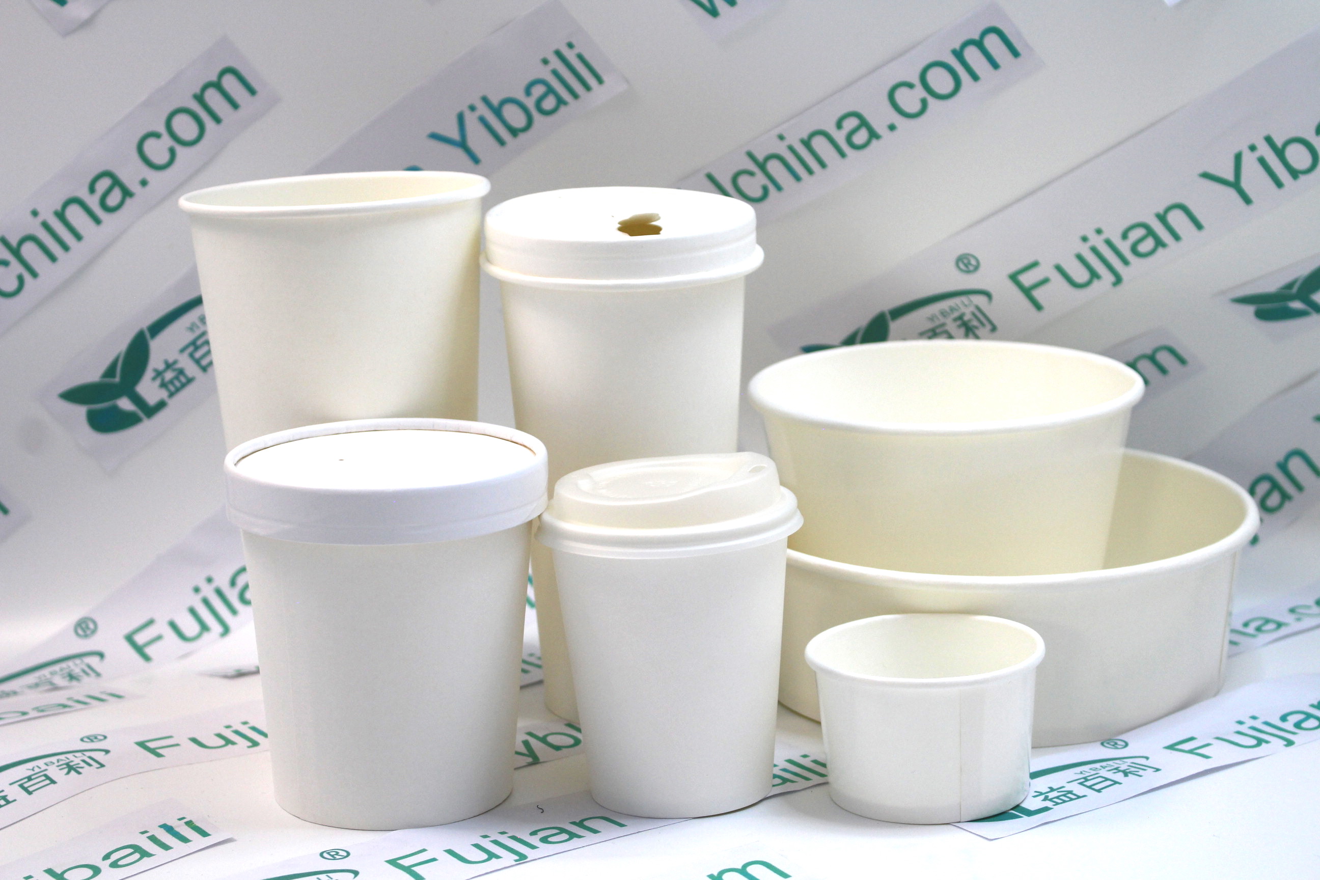 Disposable Bagasse Paper Container