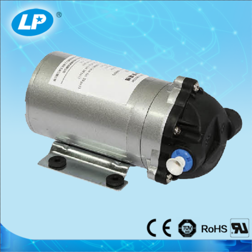 300g Booster Pump