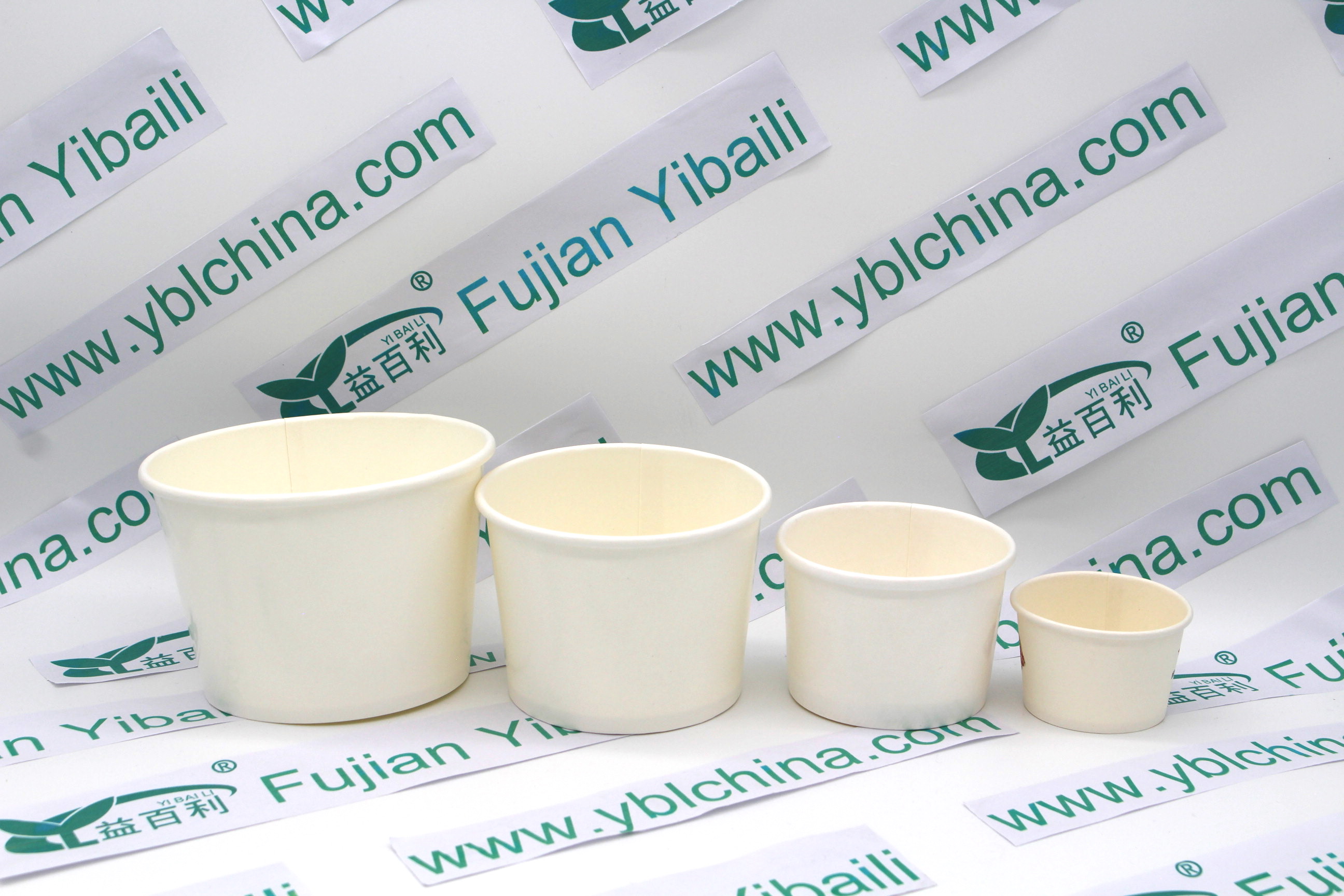 Paper Bowl