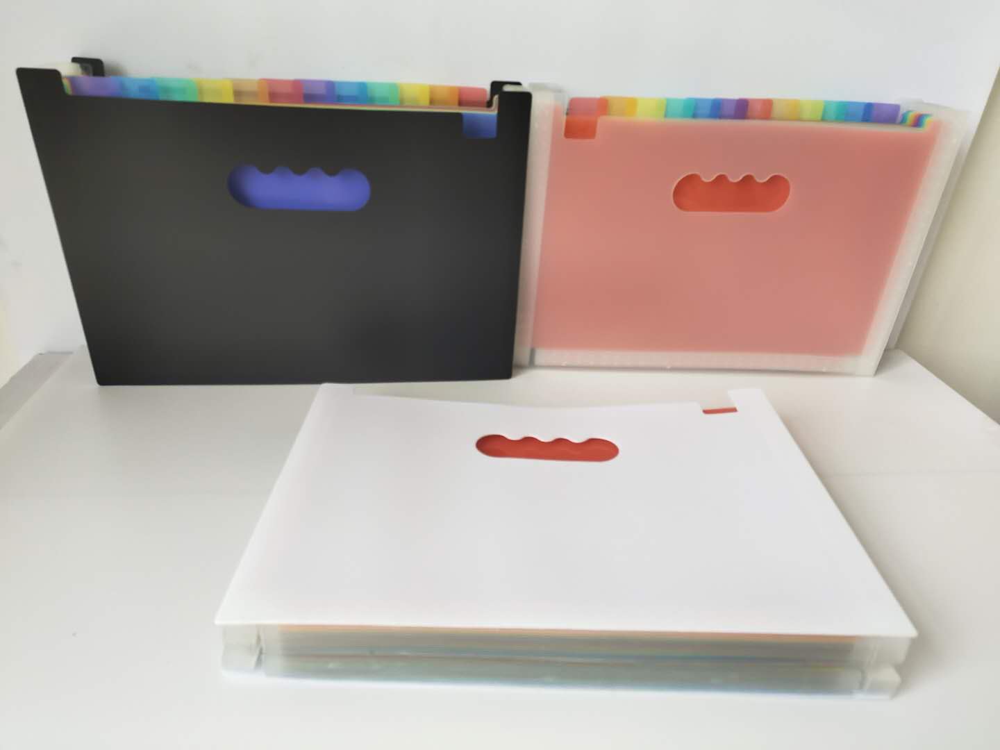 File Bags CHF-2077
