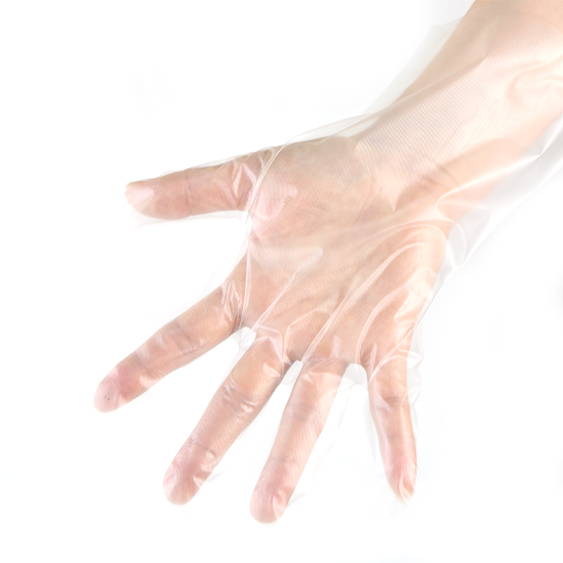 Cast Polyethylene Glove Cpe