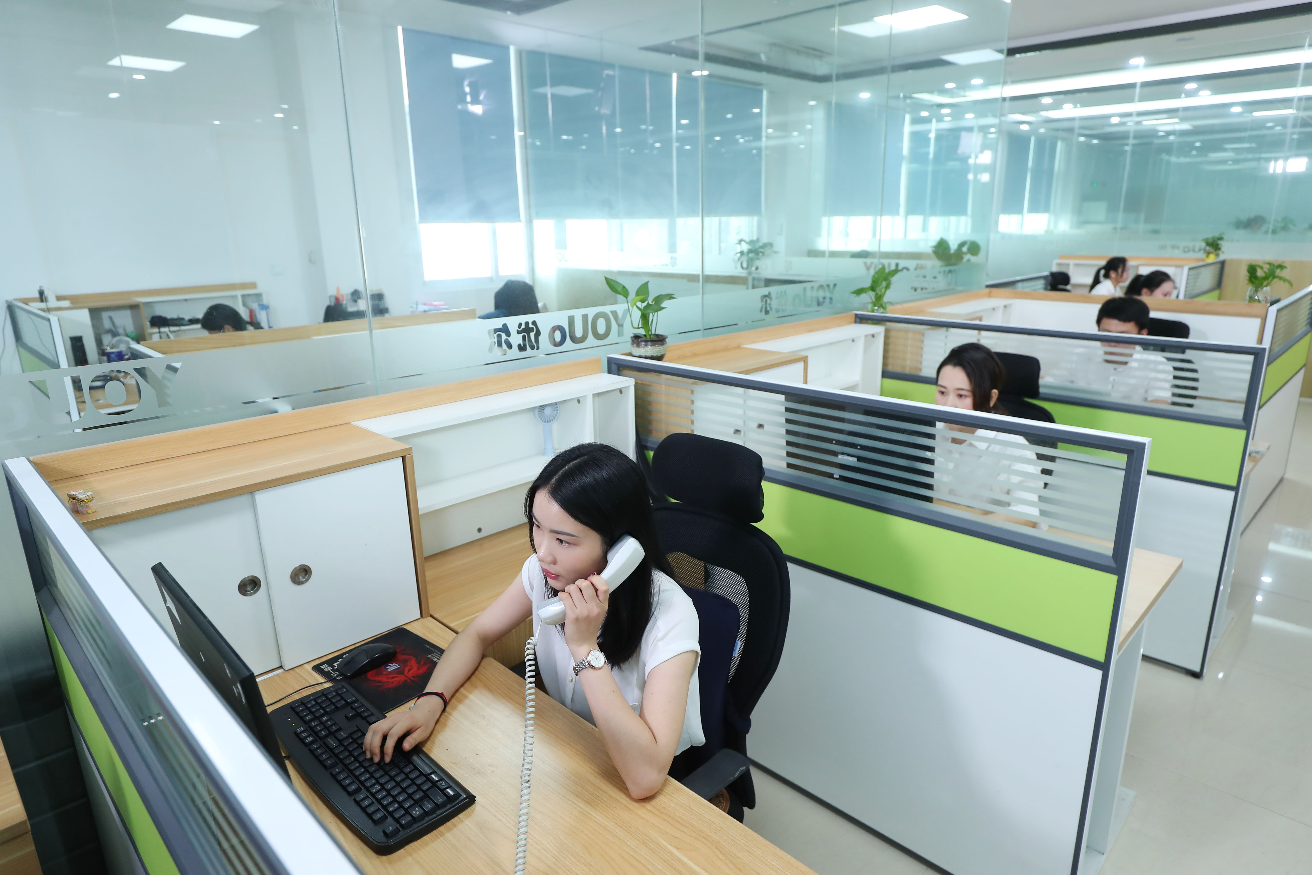 Xiamen Youyou Electrical Co., Ltd. – juicer 3