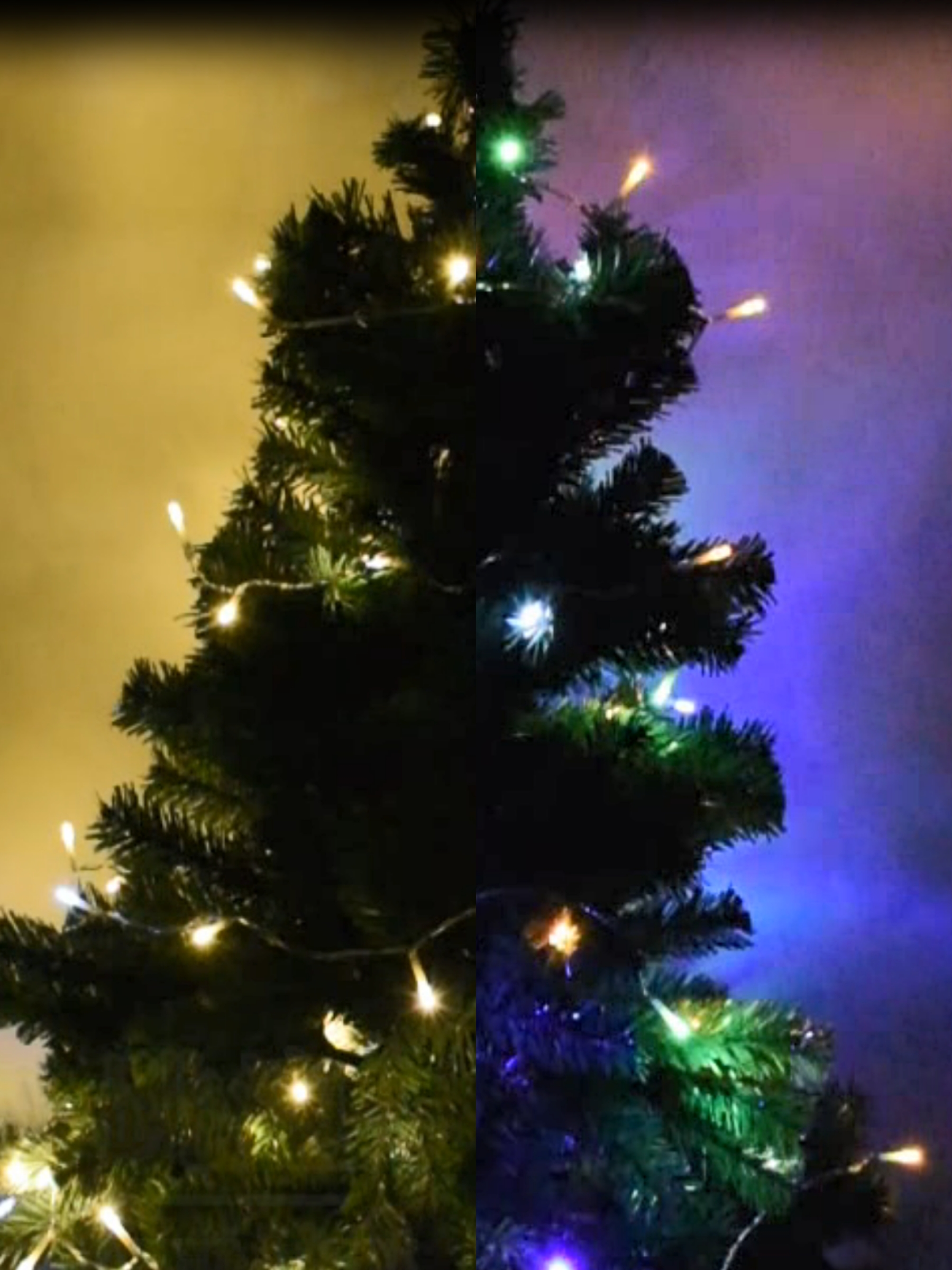 3D WRGB light chain/ led string light