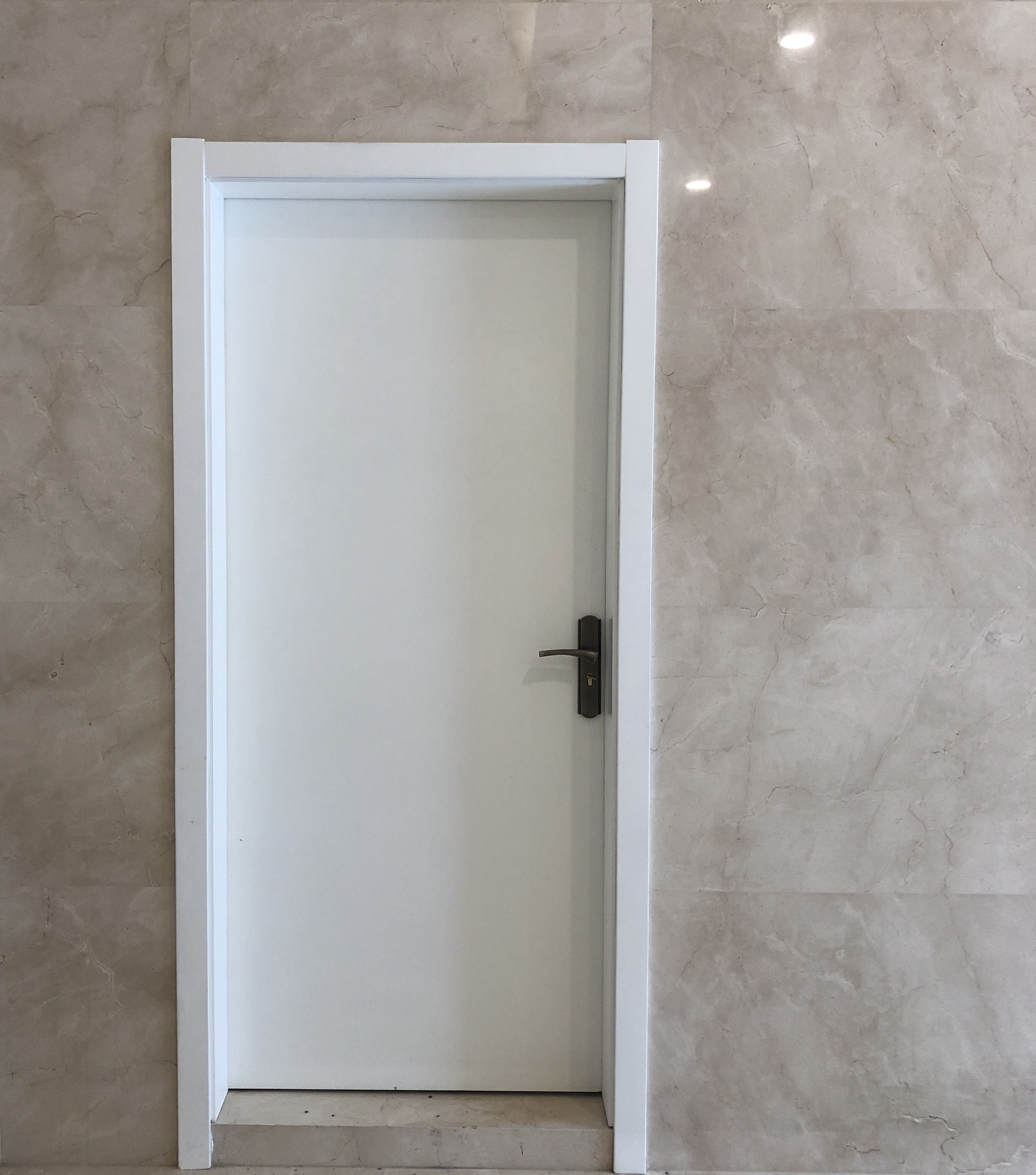 Flush Door with White Lacquer Finishing for Apartment