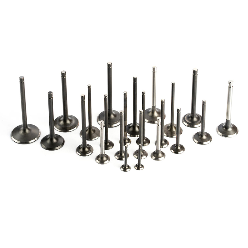 XIAMEN SUNSHINE TRADE CO., LTD – Motorcycle locks 1