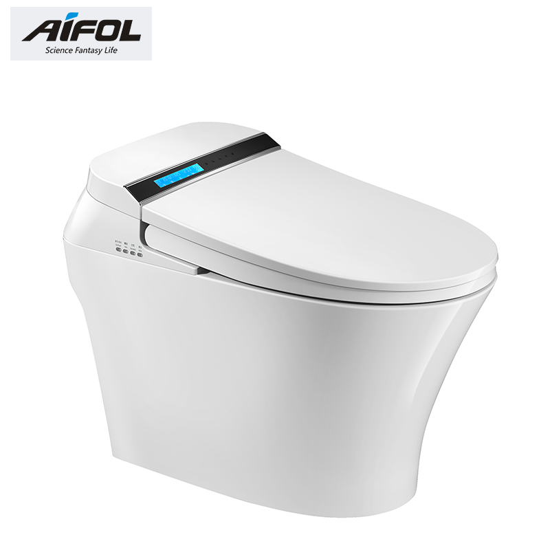 Intelligent toilet