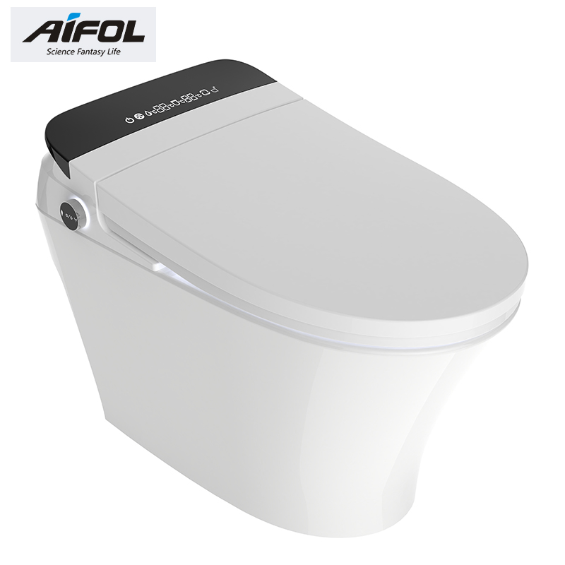 Intelligent toilet