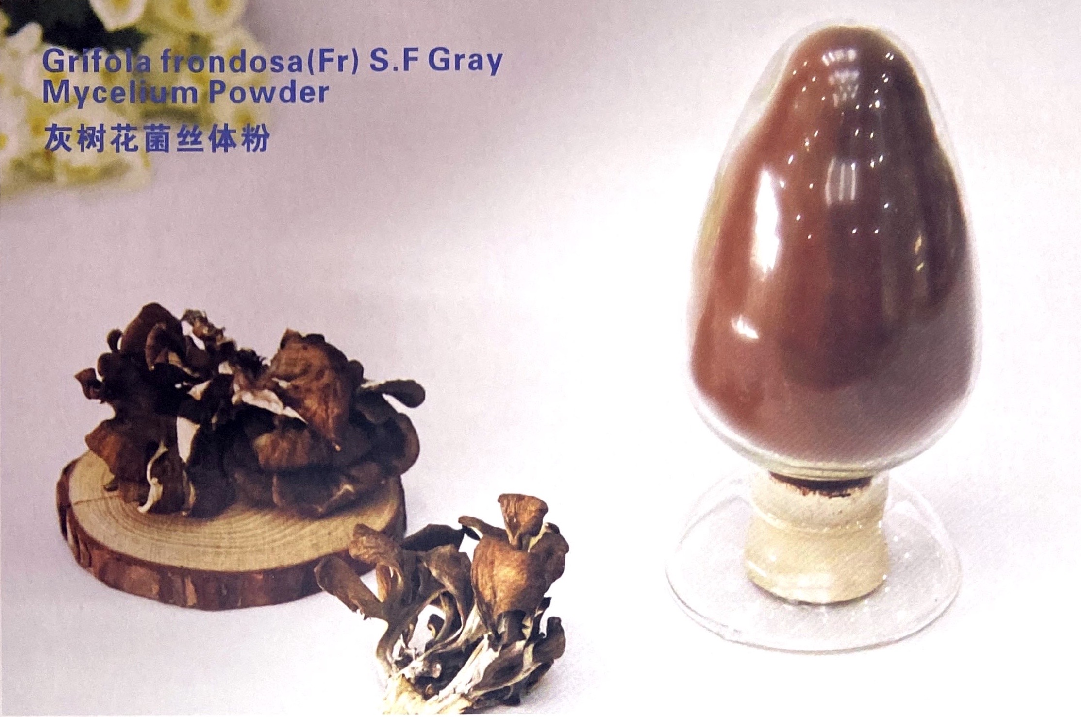 Jiangxi Xiankailai Biotechnology Co.,Ltd. – Other health products 4