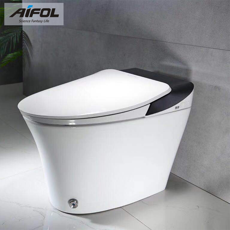 Intelligent toilet