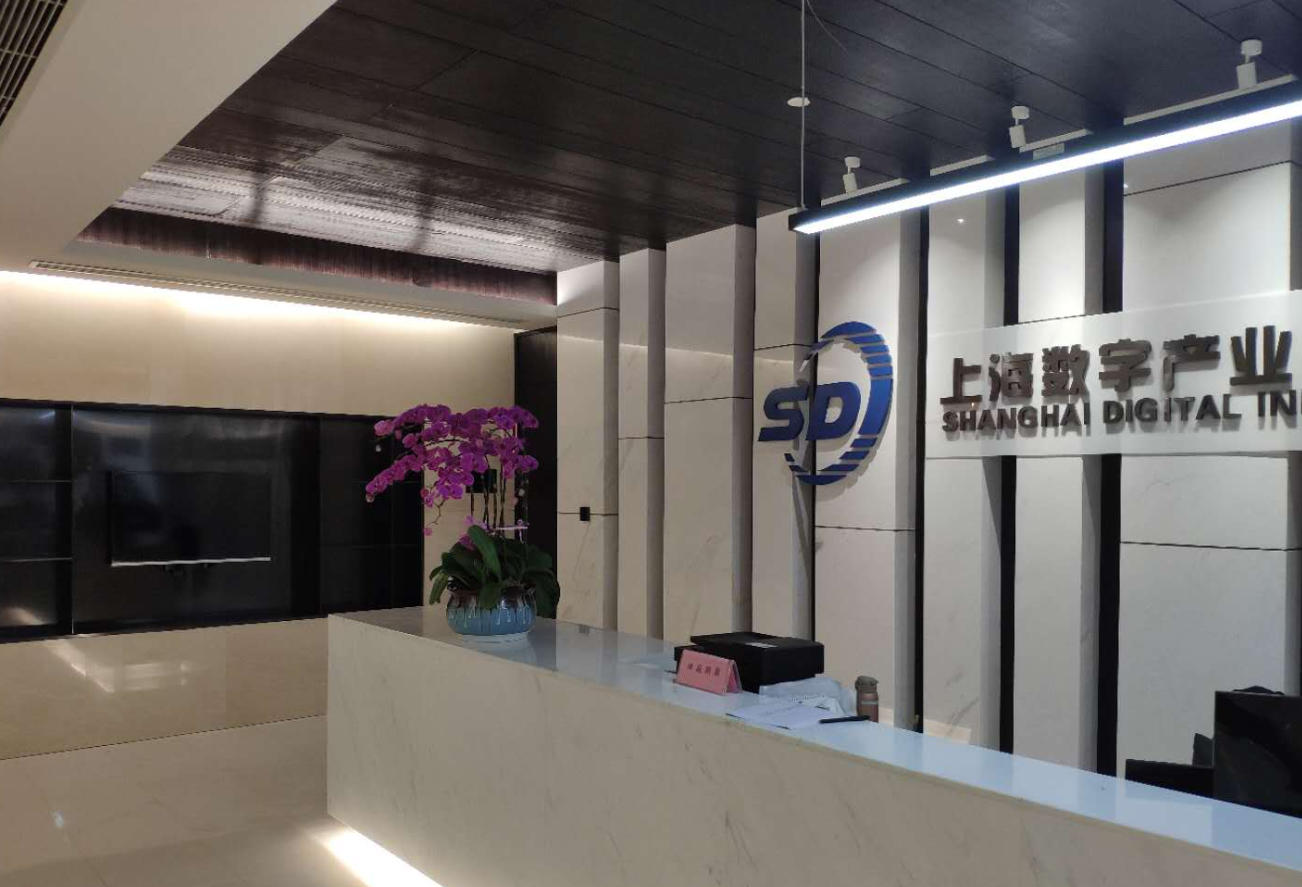 Shanghai Digital Industry Import and Export Co., Ltd. – Other body parts 1