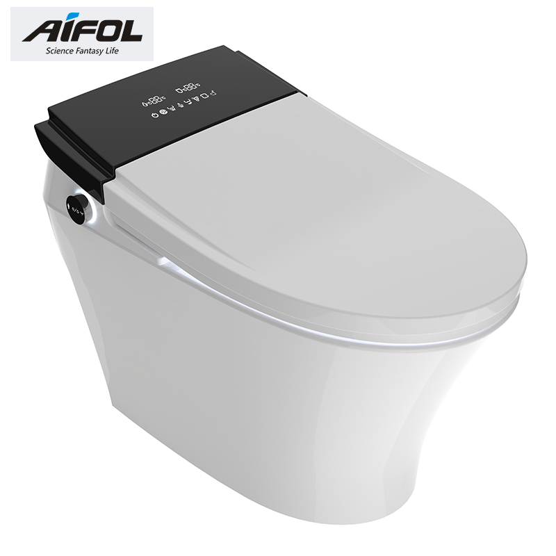 Intelligent toilet