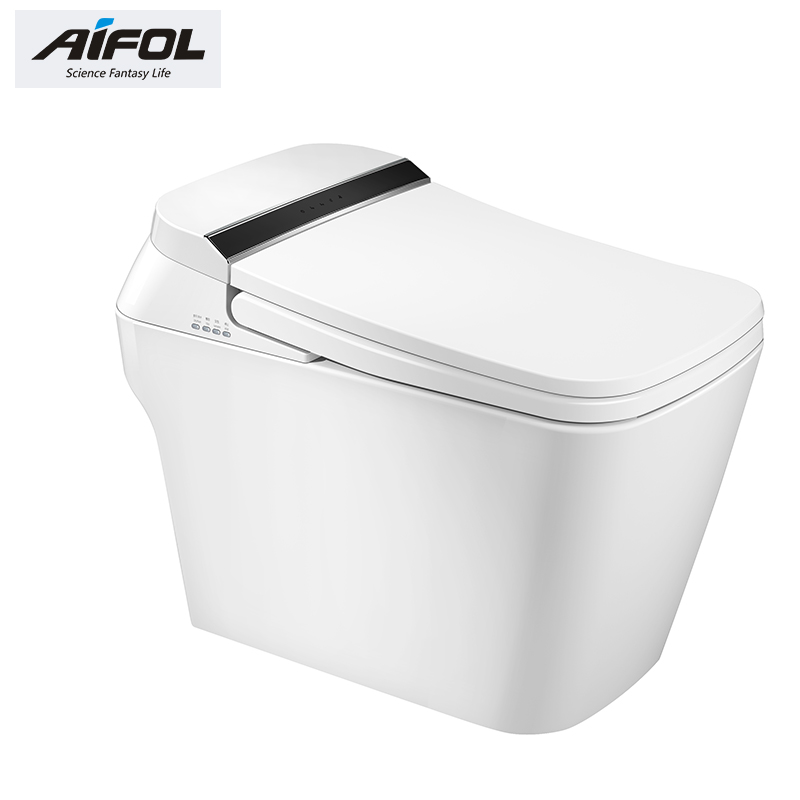 Intelligent toilet