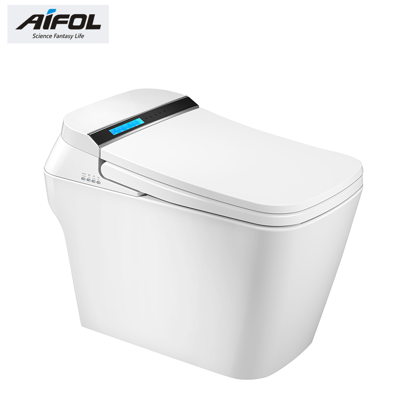 Intelligent toilet