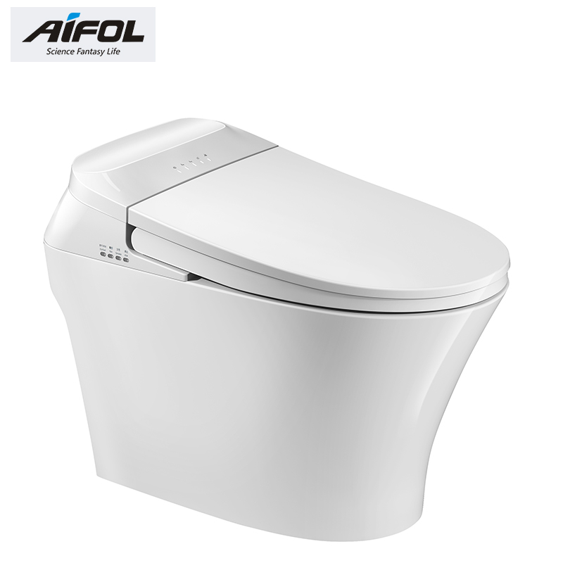 Intelligent toilet