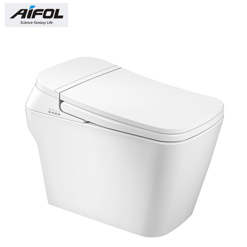 Intelligent toilet