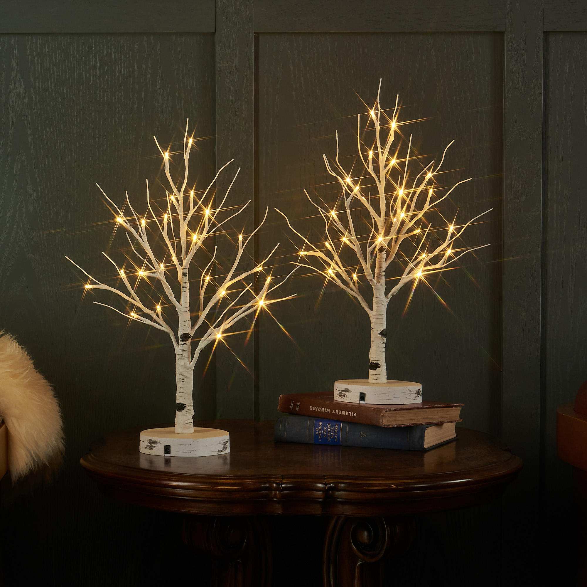 Tabletop Christmas tree lights