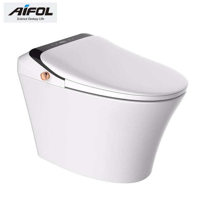 Intelligent toilet