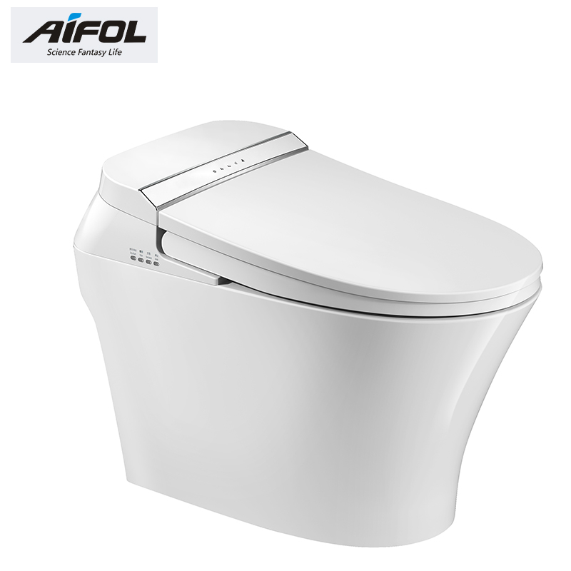 Intelligent toilet