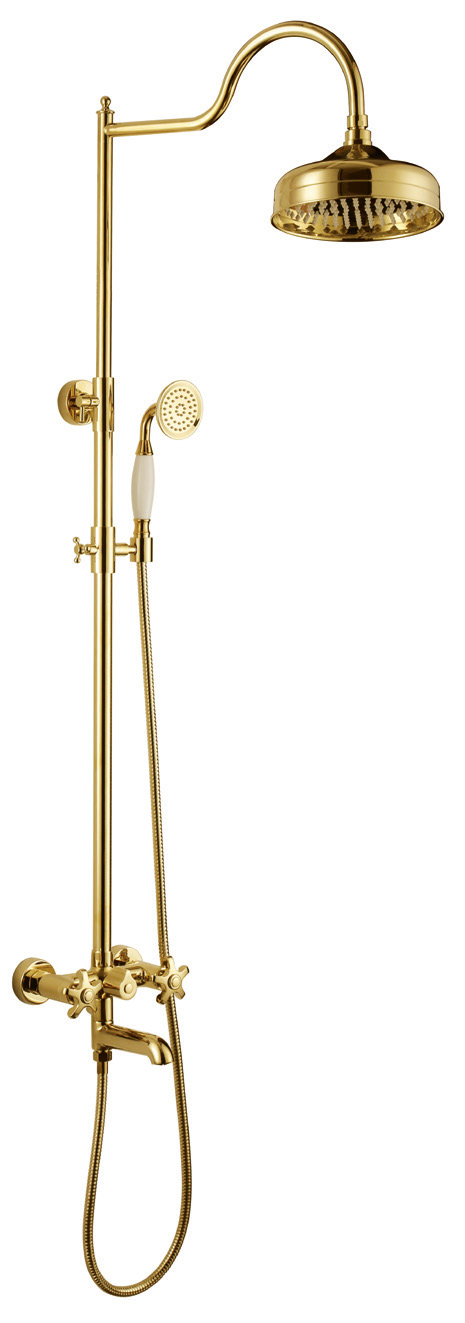 Dual Lever gold Lifting Shower