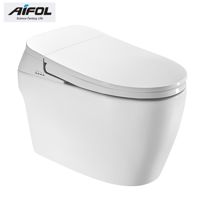 Intelligent toilet