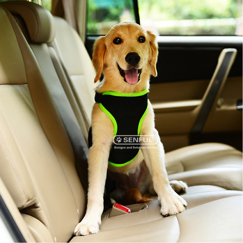 Adjustable dog harness