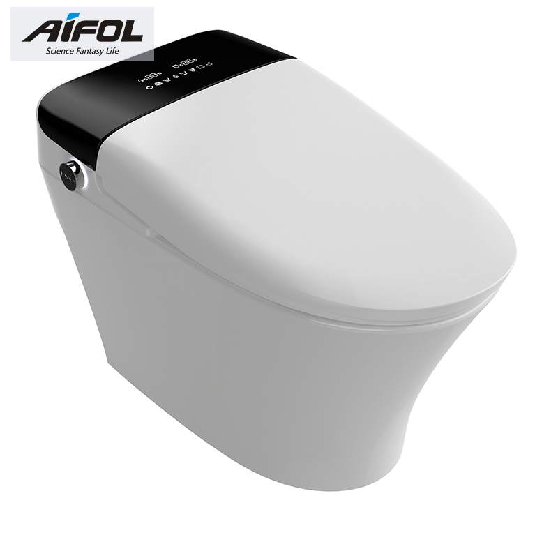 Intelligent toilet