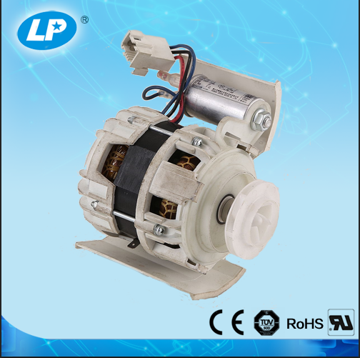 Dishwasher motor