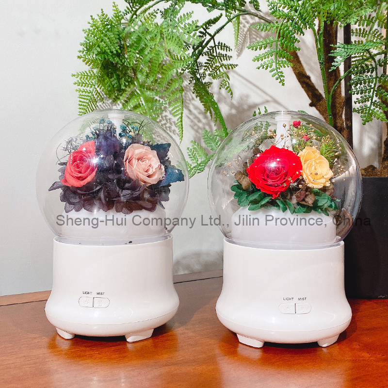 Eternal flower humidifier
