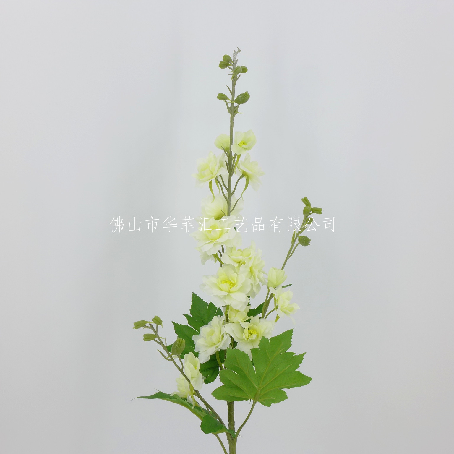 Foshan International Trade Co.Ltd – Fans 3