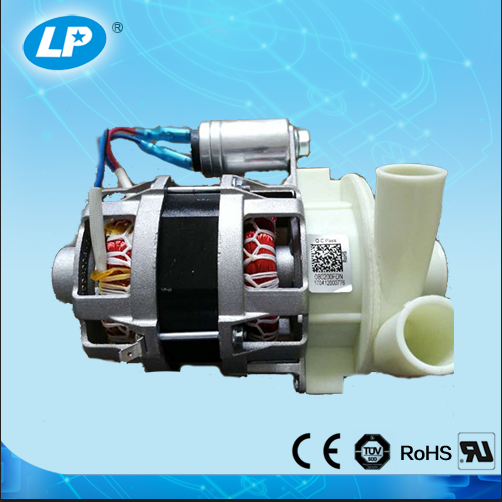 Dishwasher motor