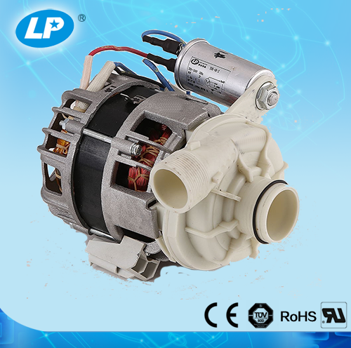 Dishwasher motor