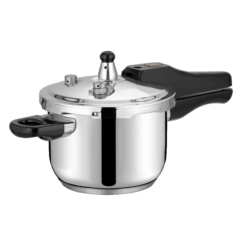 Stainless steel pressure cooker