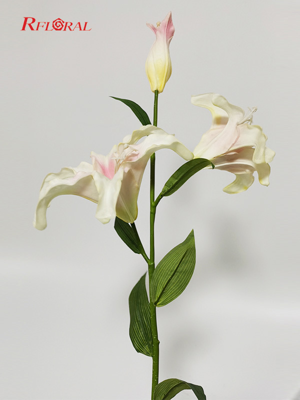 TIANJIN RIGHT ART&MEDIA CO.,LTD – Photos produits 3