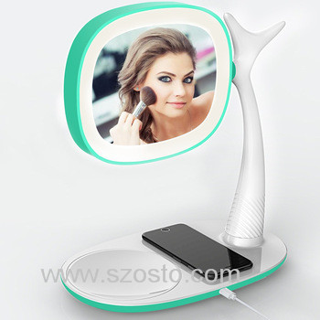 Rechargeable Portable Vanity Mirror LED Lighted Makeup Mirror with Lights