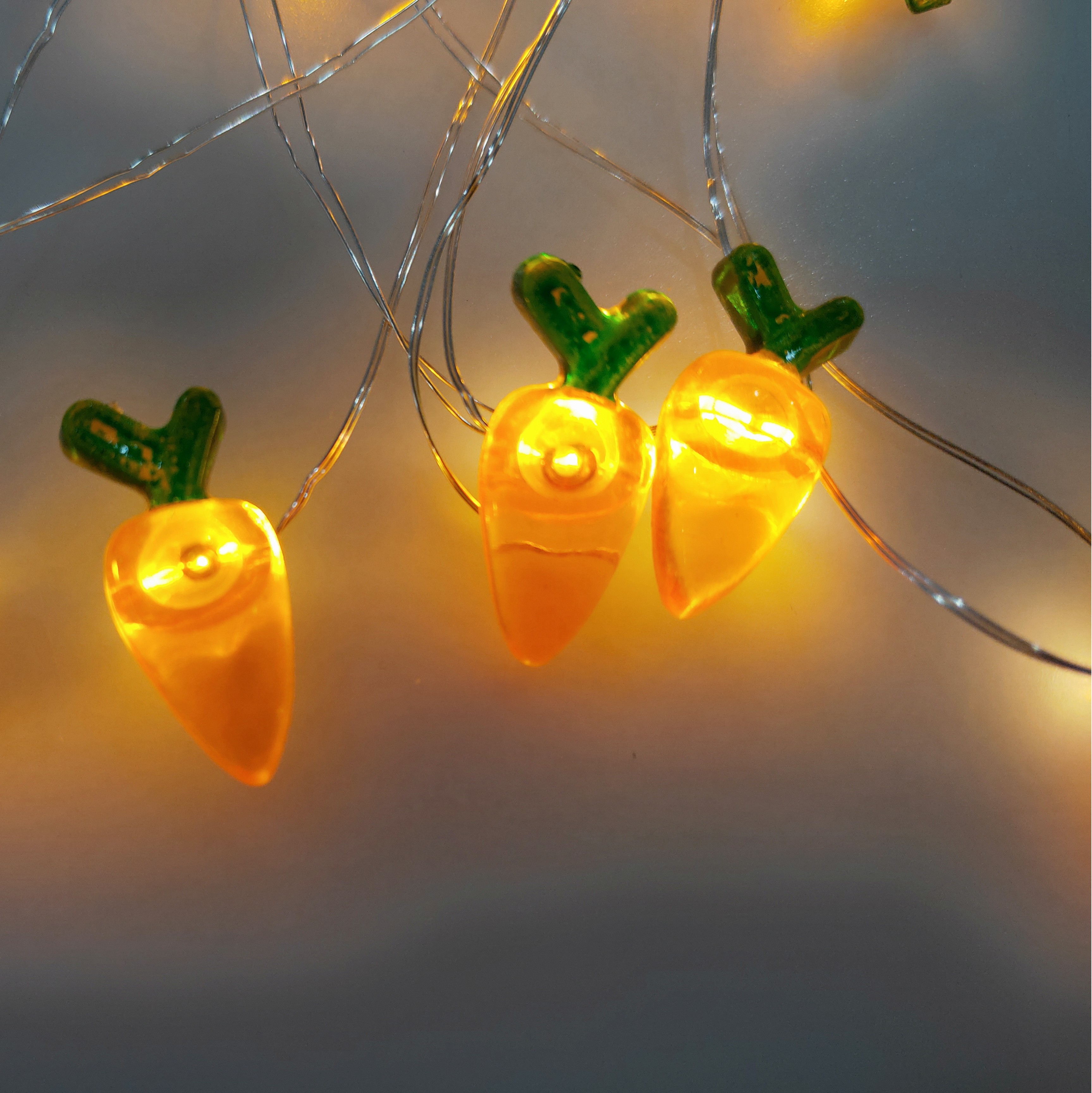 Bolylight Carrot Copper Wire String Light