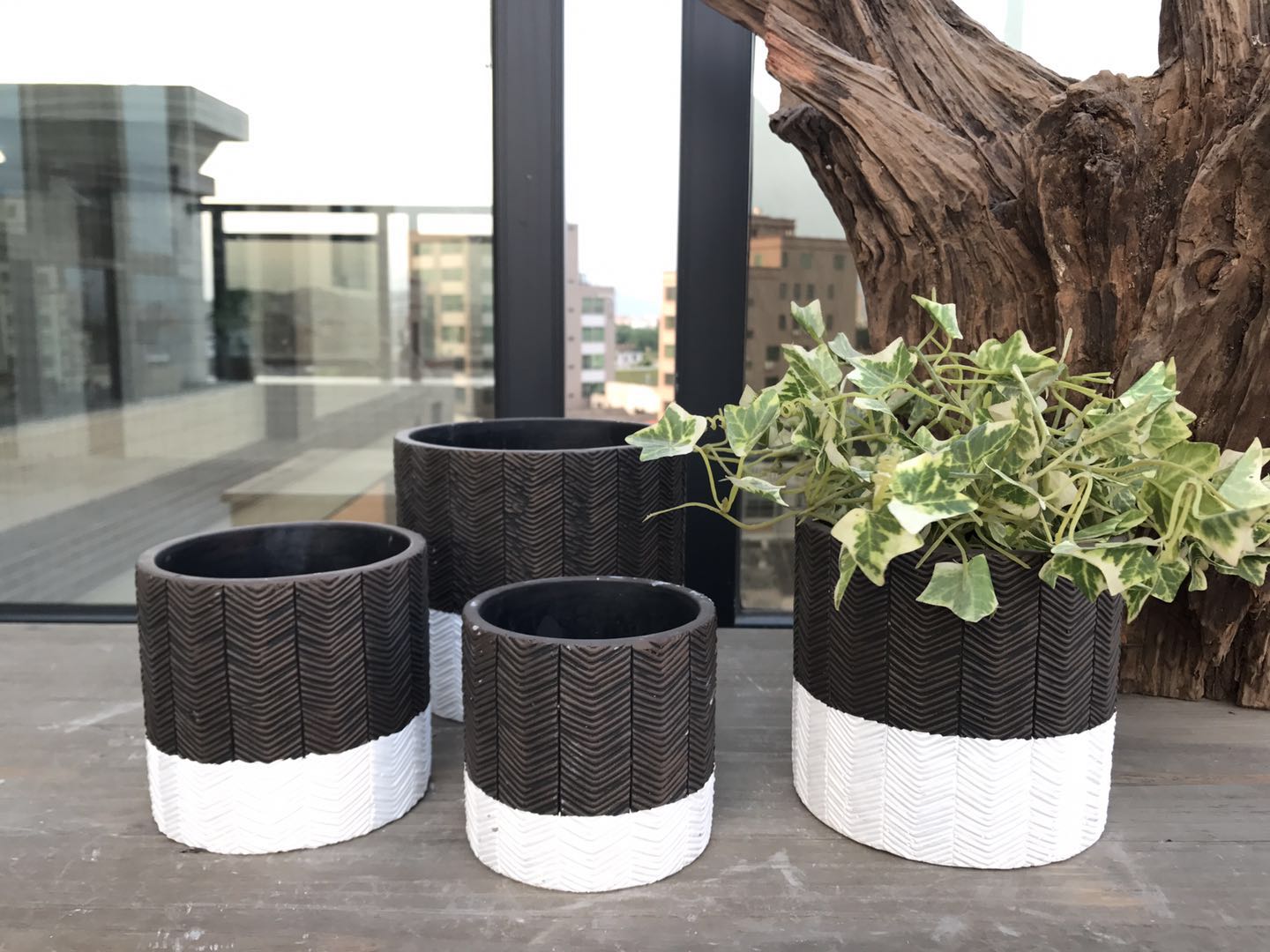 cement flower pot