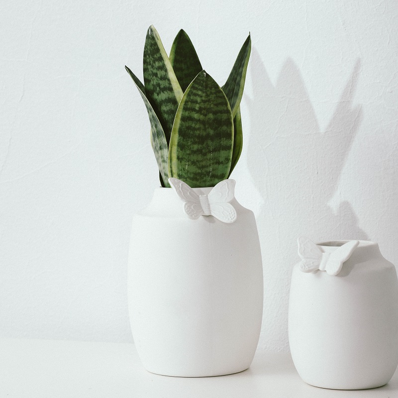 White vase with butterfly