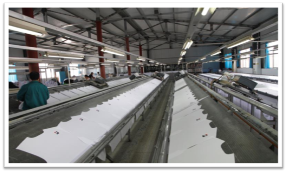 Binzhou Baiji Import and Export Co., Ltd. – Product photos 2